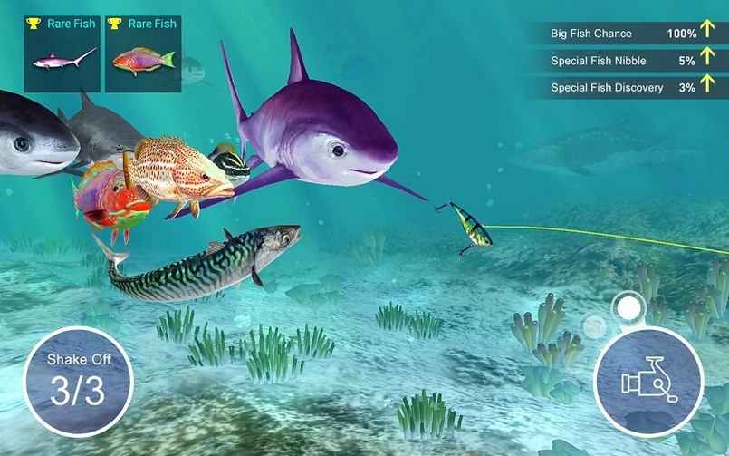 API trò chơi câu cá hấp dẫn người chơi